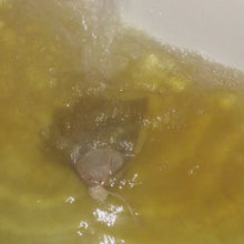 Load and play video in Gallery viewer, BB's Bath Tub Tea
